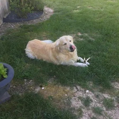 Tatil Evi Maison De Campagne *