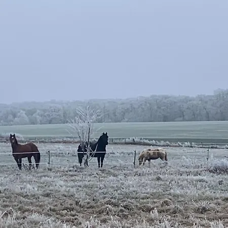 Maison De Campagne Le Baizil