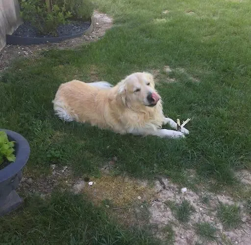 بيت للعطل Maison De Campagne *