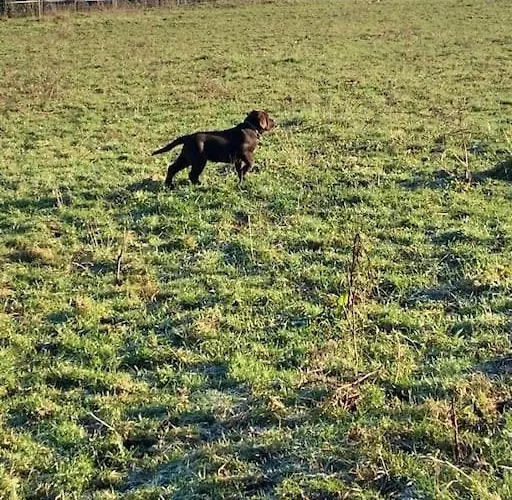 بيت للعطل Maison De Campagne *